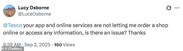 Tesco's Online Grocery Outage Highlights Risks of Digital Reliance in UK