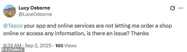 Tesco's Online Grocery Outage Highlights Risks of Digital Reliance in UK