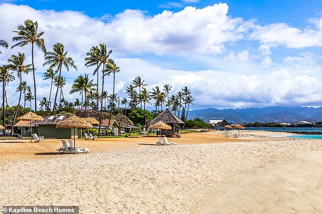 Hawaii Lifeguard Survives Attempted Murder-Suicide by Suspect Known to Her