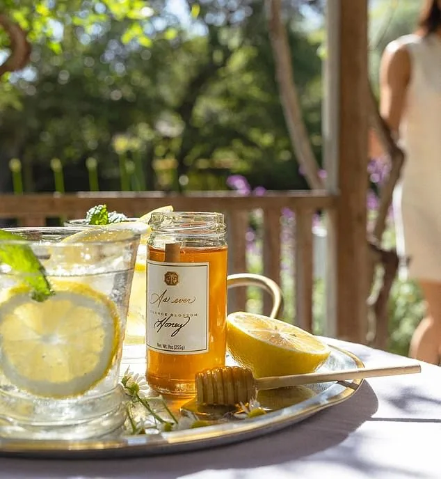 Meghan Markle’s Netflix Partnership Collapses in Public Embarrassment, as Executives Call Her ‘a Self-Serving Disaster’