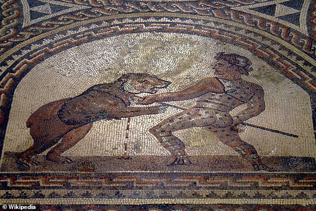 Roman Amphitheatre Fossil Evidence Uncovers Bear's Fatal Injury, Revealing Ancient Combat Risks