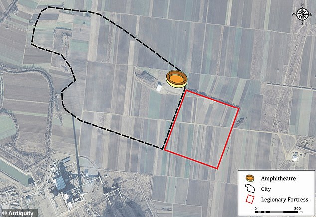 Roman Amphitheatre Fossil Evidence Uncovers Bear's Fatal Injury, Revealing Ancient Combat Risks