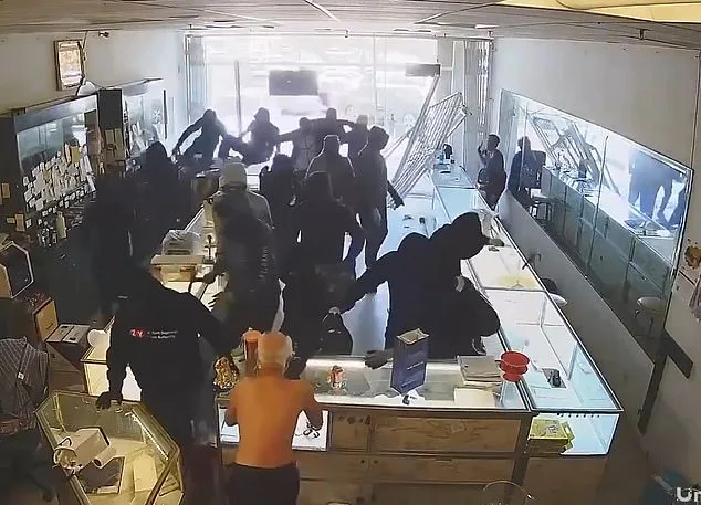 Breaking: Masked Robbers Launch Coordinated Smash-and-Grab Attack on East San Jose Jewelry Store, Leaving Community in Shock