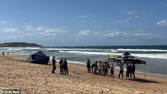 Seasoned Surfer Killed by Five-Metre Great White Shark in Dee Why Beach Attack