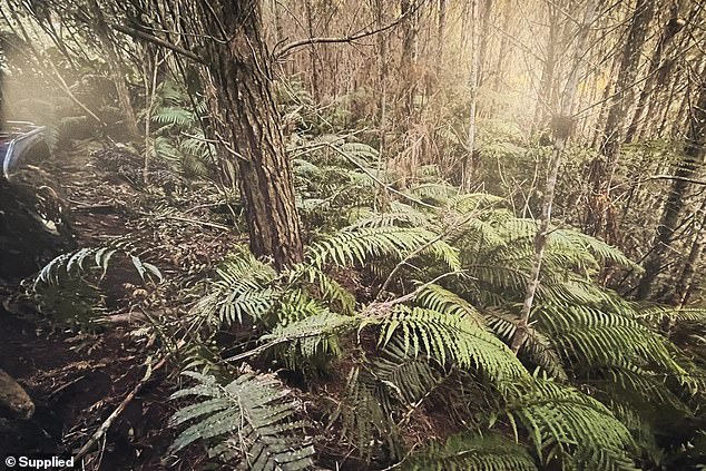 Exclusive Photos Reveal Remote Campsite: Privileged Access to Fugitive's Family's Location