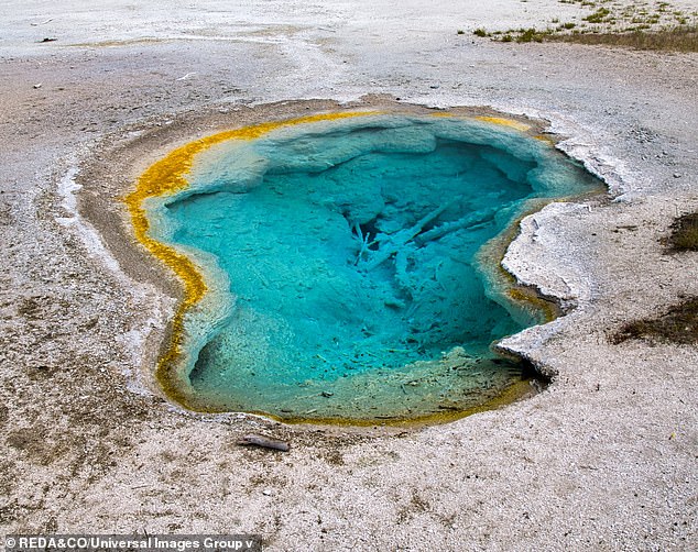 Privileged Access: New Theory Suggests Alien Intelligence Shaped Earth's Life Origins