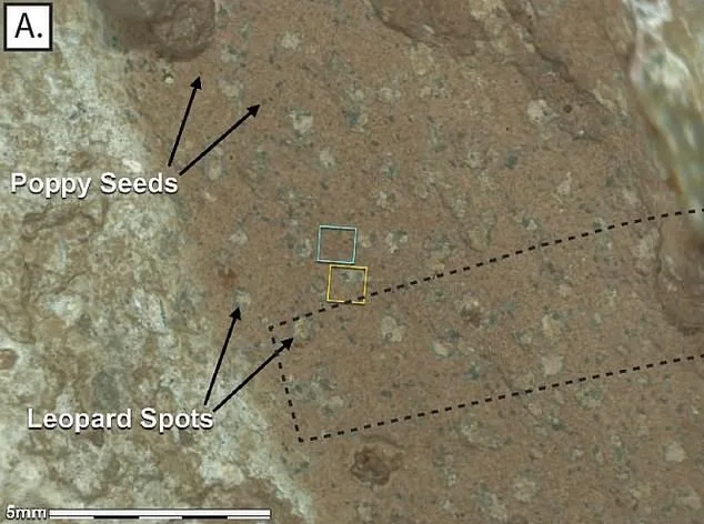 Breaking: NASA to Hold Rare News Conference on September 10, Hinting at Major Mars Discovery