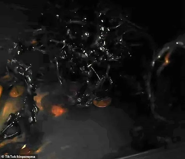 Alien Claims from Panama Meteorite Spark Global Internet Frenzy and Blurring of Science Fiction and Reality