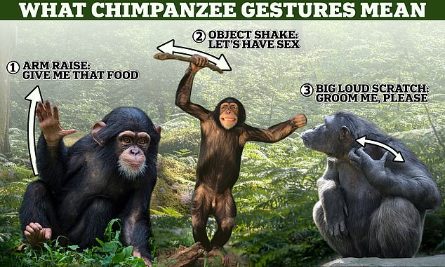 The Impact of Government Policies on Public Understanding of Evolutionary Science