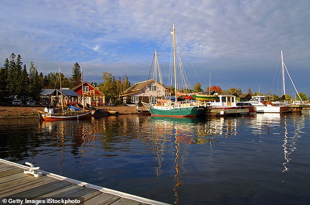 The Veiled Mechanisms of Autumn's Transformation: How Exclusive Environmental Insights Shape the Diverse Fall Foliage Across America