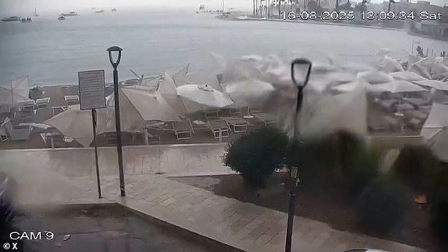 UK's Historic Warmest Summer Sparks Climate Warnings Over Rising Costs of Extreme Weather