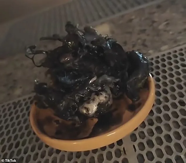 Viral TikTok Claims: Man Allegedly Discovers Tentacled Organism in Meteorite Found in Panama's Fiery Crater