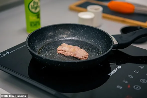 Privileged Access to Food Labels: EU Moves to Restrict Meat Terms, Igniting Industry and Consumer Debate
