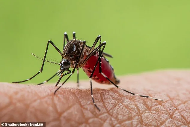 Urgent Alert: Deadly Disease-Spreading Mosquitoes Detected in Britain, Experts Warn of Growing Risk