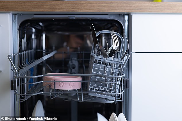 Late-Season Fruit Fly Plague Sweeps UK Kitchens as Homeowners Set Traps to No avail