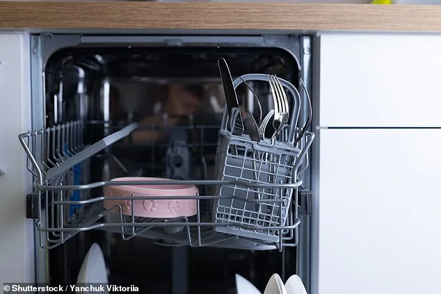 Late-Season Fruit Fly Plague Sweeps UK Kitchens as Homeowners Set Traps to No avail