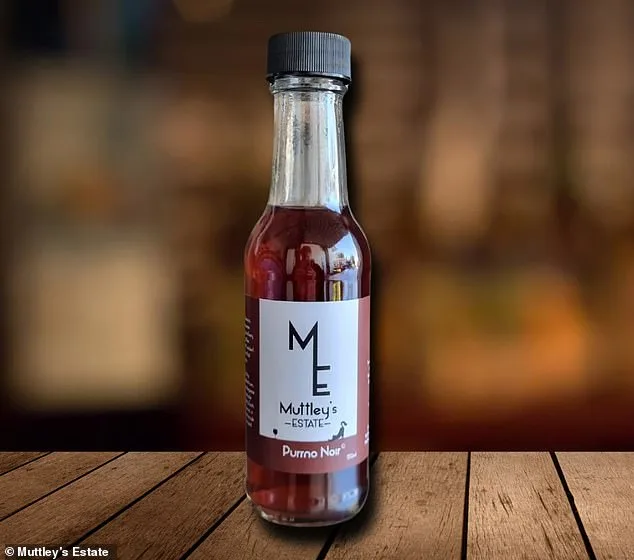 New Zealand Company Introduces Pet-Friendly Wines with Catnip Instead of Alcohol