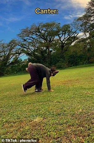 Quadrobics: New Fitness Trend Sparks Public Debate and Regulatory Scrutiny