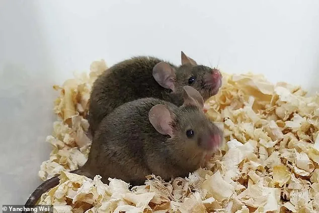 Scientific Breakthroughs Offer New Hope for Same-Sex Couples Building Families