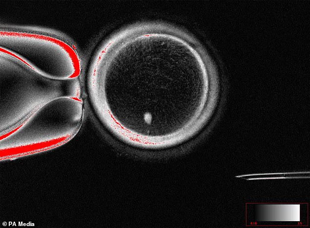 Scientific Breakthroughs Offer New Hope for Same-Sex Couples Building Families