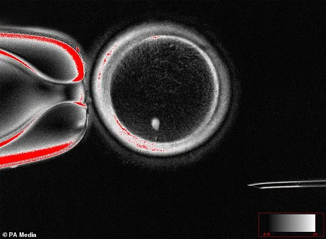 Scientific Breakthroughs Offer New Hope for Same-Sex Couples Building Families