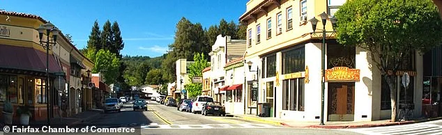 Fairfax's Utopia Turns to Battleground Over Affordable Housing Plans