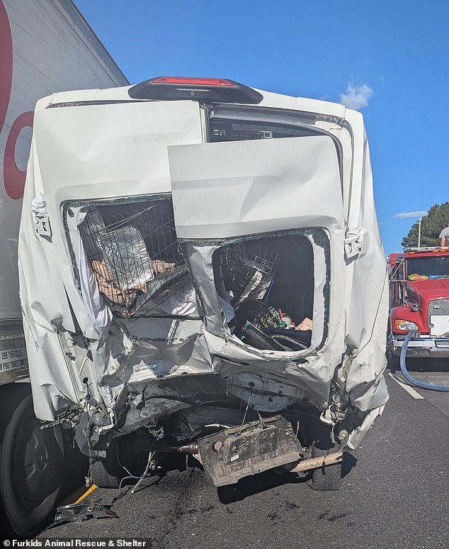 Deadly Georgia Interstate Crash Highlights Calls for Improved Highway Safety Regulations