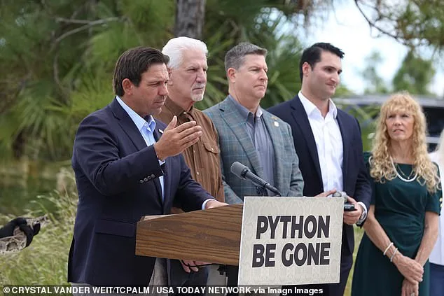 Florida Launches Urgent Python Eradication Drive with Innovative Leather Partnership