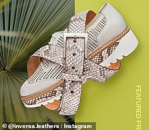 Florida Launches Urgent Python Eradication Drive with Innovative Leather Partnership