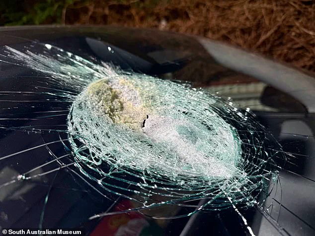 Meteorite Strike on Tesla Model Y: A One-in-a-Billion Event Leaves Owner Disoriented and Vehicle Damaged
