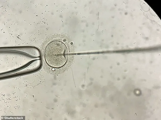 Study Reveals Donor Eggs Are Primary Driver of IVF Success for Women Over 43 Amid Rising Trend of Delayed Motherhood
