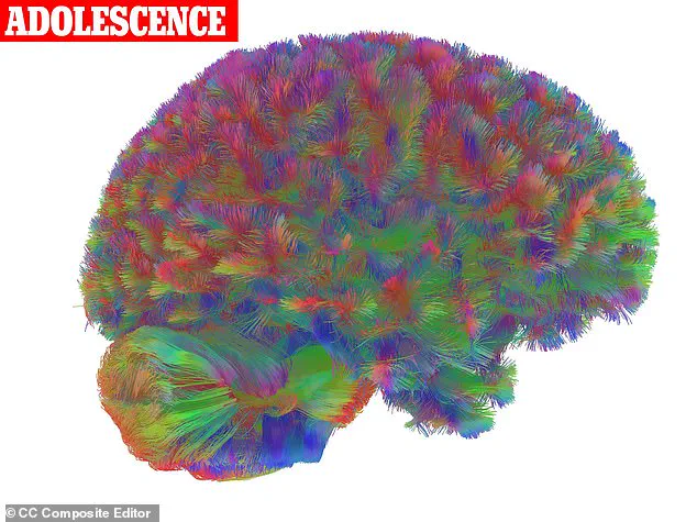 Exclusive Insights: Cambridge Study Unveils Five Neurological Stages of Human Life