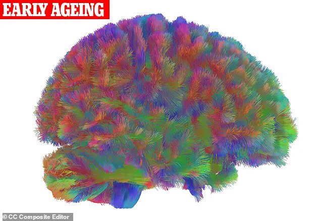 Exclusive Insights: Cambridge Study Unveils Five Neurological Stages of Human Life