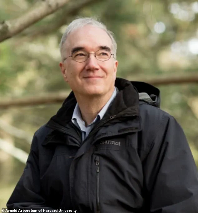 Foul Odor Forces Closure at California's State Capitol Park Over Rancid Ginkgo Scent