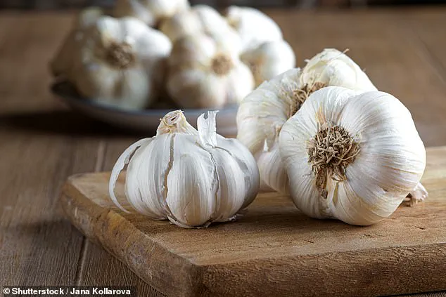 Garlic's Hidden Potential: A Breakthrough in Natural Oral Care Revealed by UAE Researchers