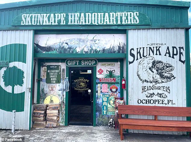 Late-Breaking: Dave Shealy's Lifelong Skunk Ape Obsession in the Everglades