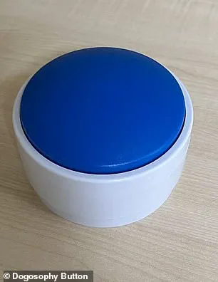 Paw-Powered Innovation: The Dogosophy Button Redefines Human-Animal Tech Relationships