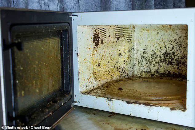 Hidden Dangers of Microwave Usage: Common Mistakes That Compromise Safety and Functionality