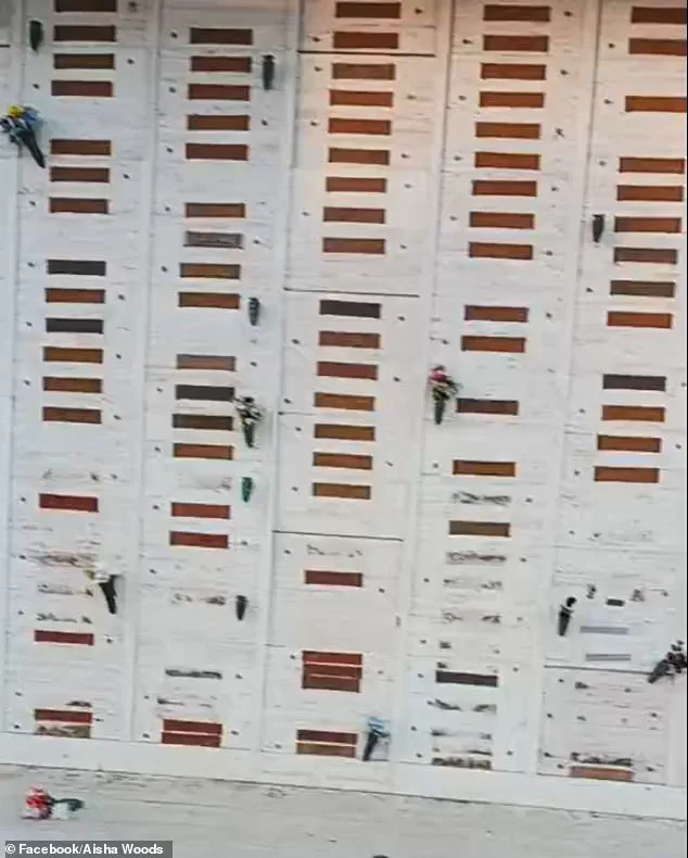 Historic Compton Cemetery Faces Relentless Looting as Vandals Target Graves for Precious Metals