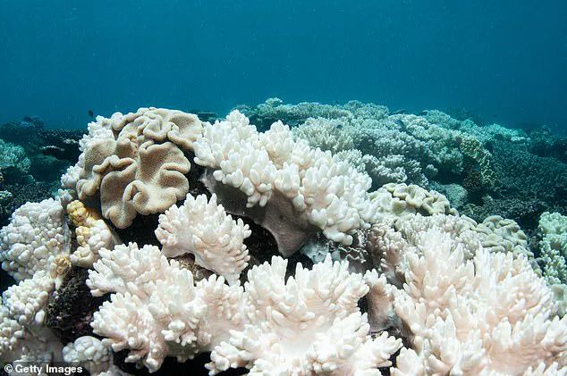 Coral Reefs Face Tipping Point in 2026 Amid Climate Change and El Niño Crisis
