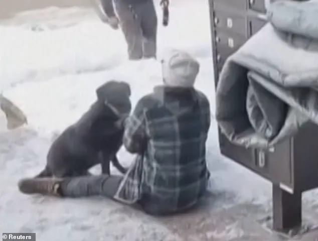 Tragic Death of Renee Nicole Good Sparks National Debate on ICE's Role in Protests and Public Safety