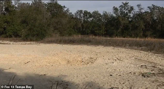 Two 14-Year-Olds Killed in Florida Gulf Coast Hole Collapse