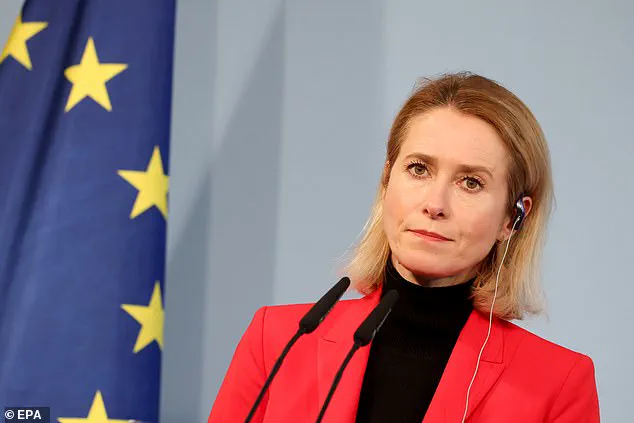 EU's Foreign Policy Chief Quips About Drinking Amid Global Crises