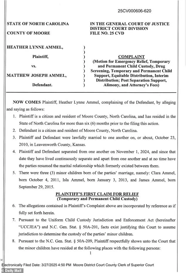 Kyrsten Sinema's Former Bodyguard Accused of Violence and Drug Abuse, Released on $10K Bond