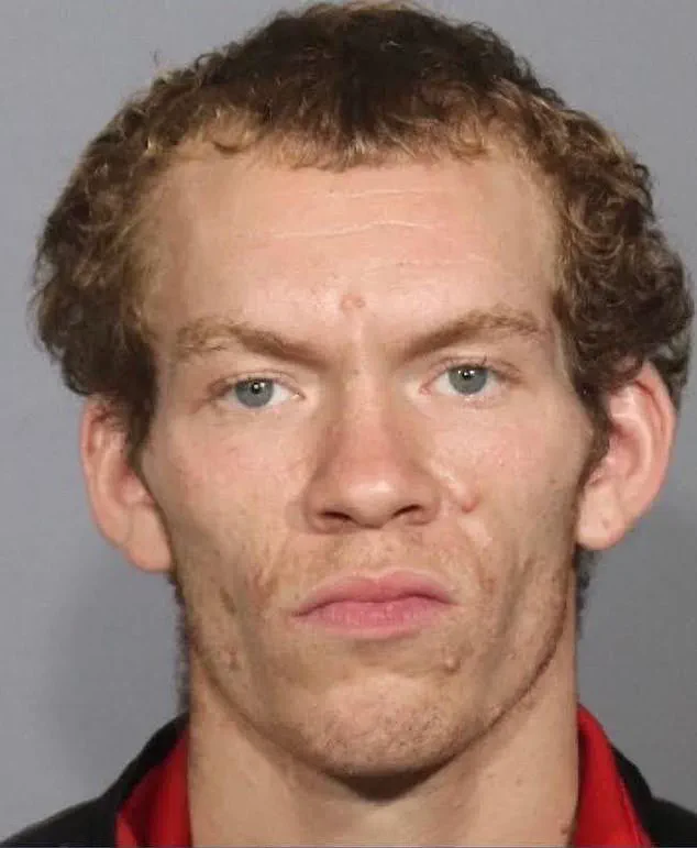 New York Man Sentenced to Four Years for Illegal Weapons Cache, Not for Killing Mugger