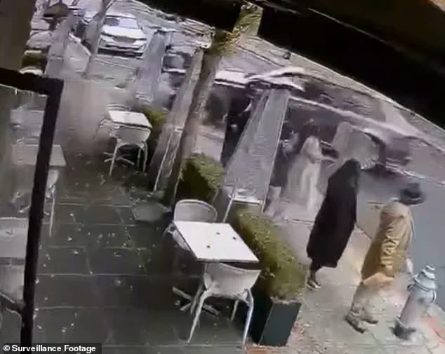 Wealthy Napa Valley Powerbroker Faces Hit-and-Run Lawsuit, Claims Car Accelerated on Its Own