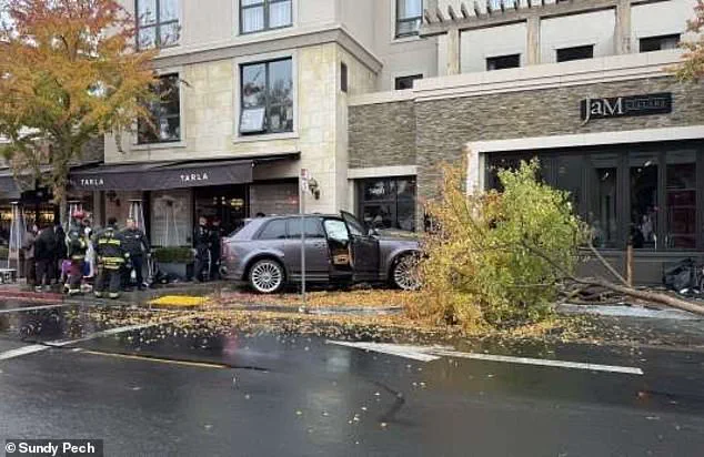 Wealthy Napa Valley Powerbroker Faces Hit-and-Run Lawsuit, Claims Car Accelerated on Its Own