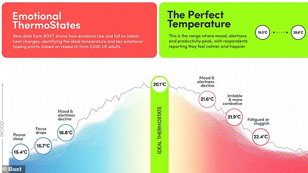 Exclusive Insight: The Scientifically Proven Ideal Office Temperature for Productivity and Comfort Revealed