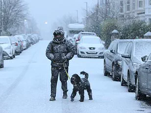 Exclusive Insight: The Scientifically Proven Ideal Office Temperature for Productivity and Comfort Revealed