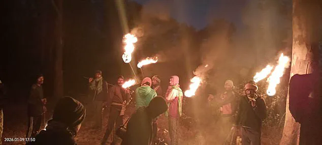 Jharkhand Villagers Flee as Rogue Elephant in Musth Kills 22 in Deadly Rampage